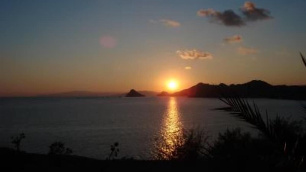 Photo of Others in Calabardina