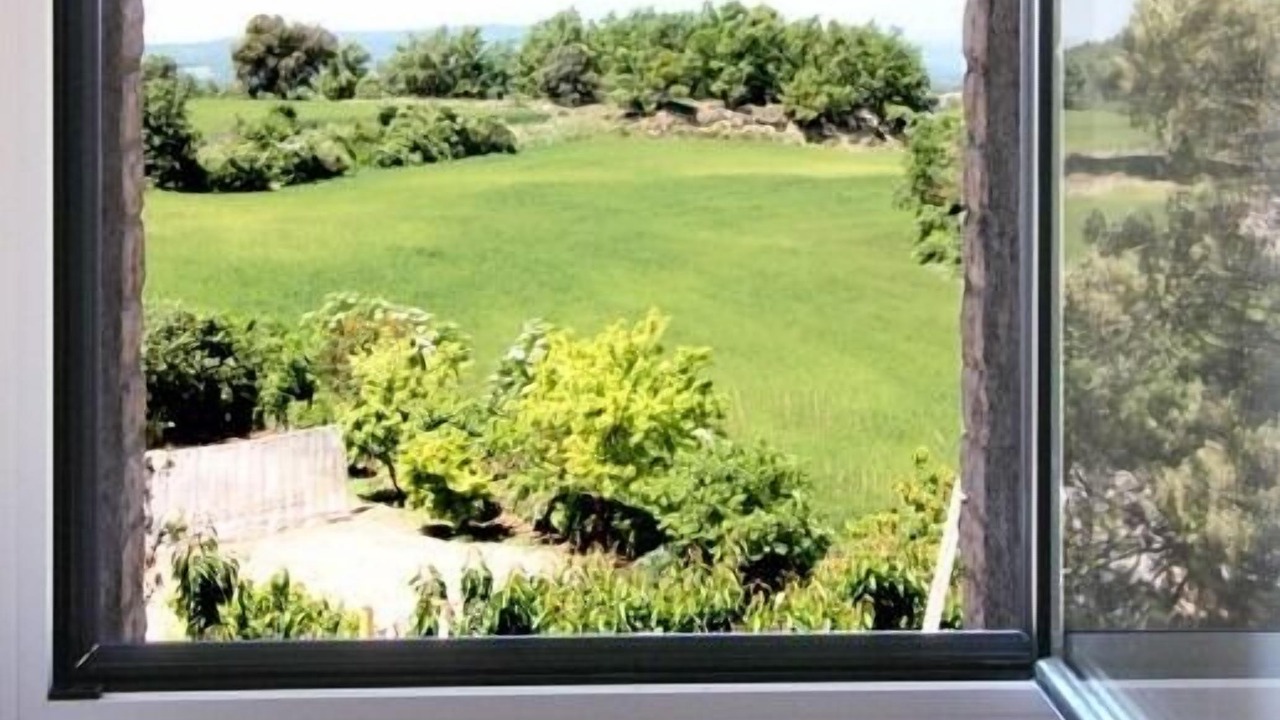 Photo of Others in Pinell de Solsones
