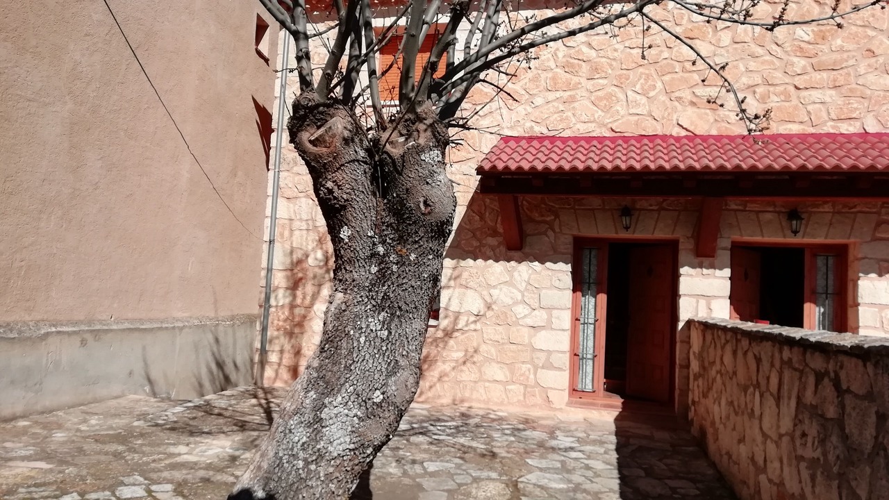 Photo of Outdoor in Santiuste de Pedraza