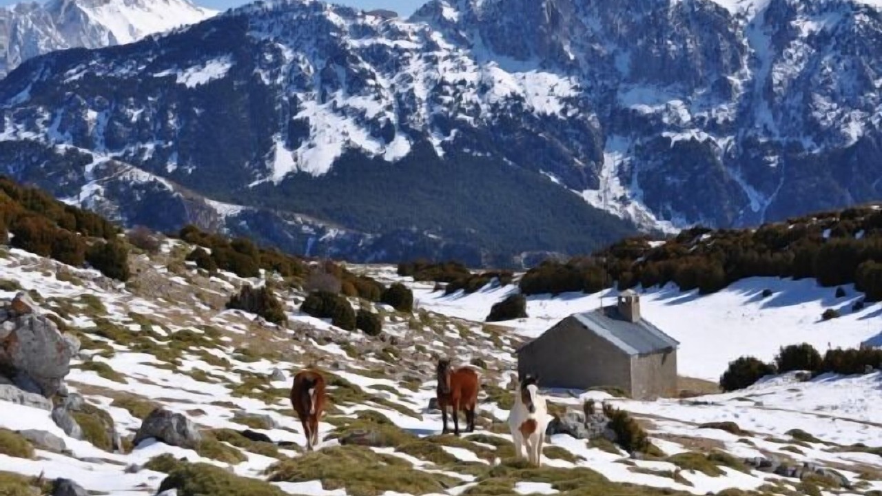 Photo of Outdoor in Murillo de Liena