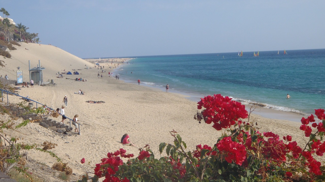 Photo of Others in Morro Jable