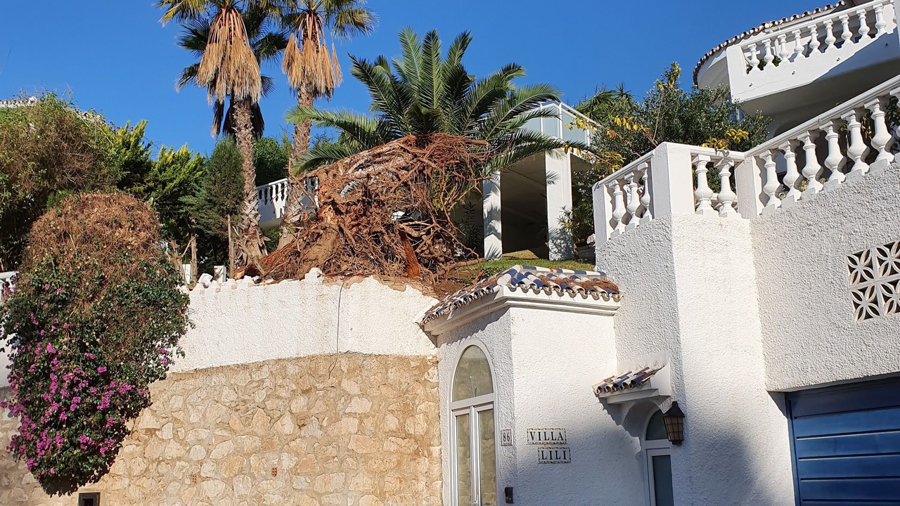 Photo of Outdoor in Mijas