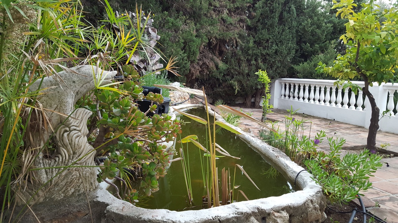 Photo of Outdoor in Mijas
