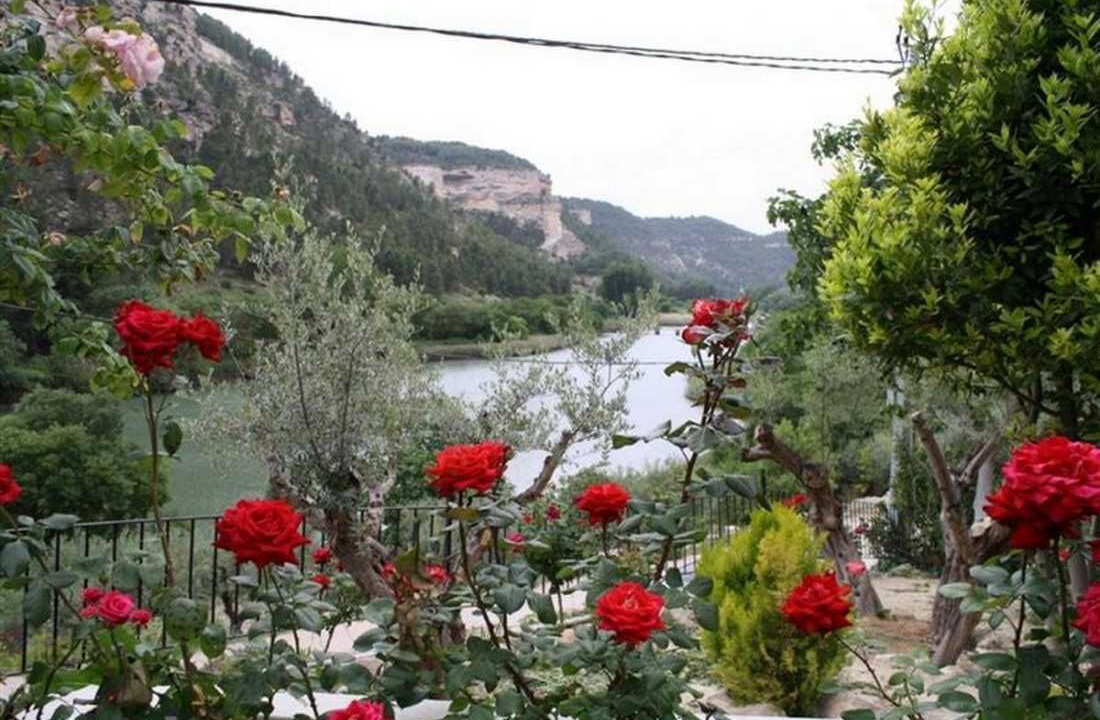 Photo of Outdoor in Tolosa