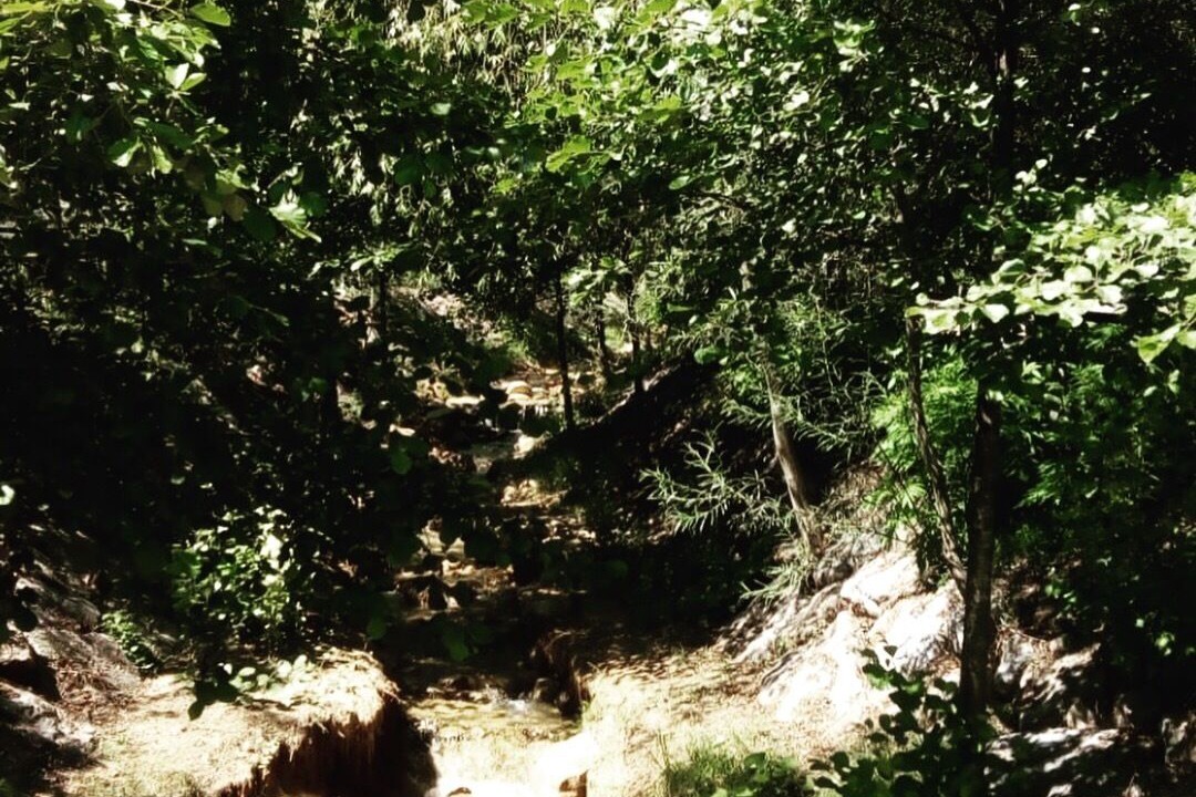 Photo of Outdoor in Daroca de Rioja