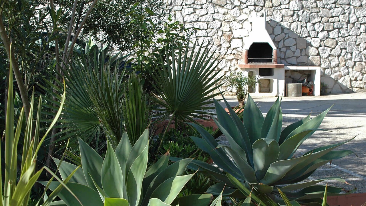 Photo of Outdoor in Mijas