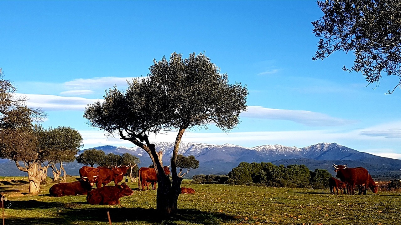 Photo of Outdoor in Garriguella