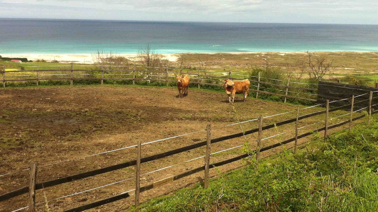 Photo of Others in Razo da Costa
