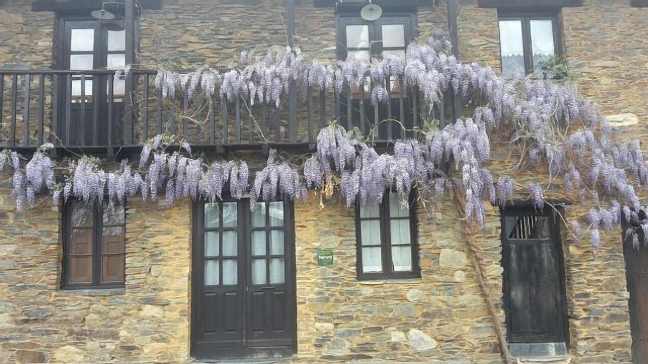 Photo of Outdoor in Sorbeda