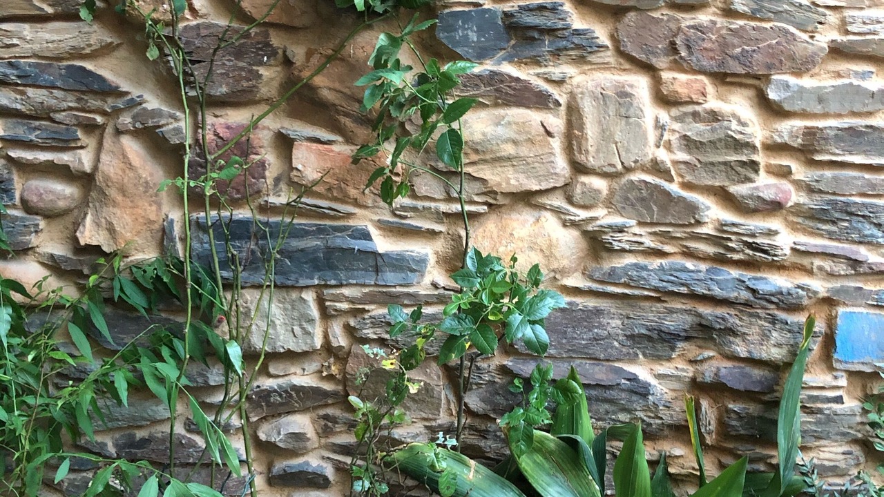 Photo of Outdoor in Sorbeda