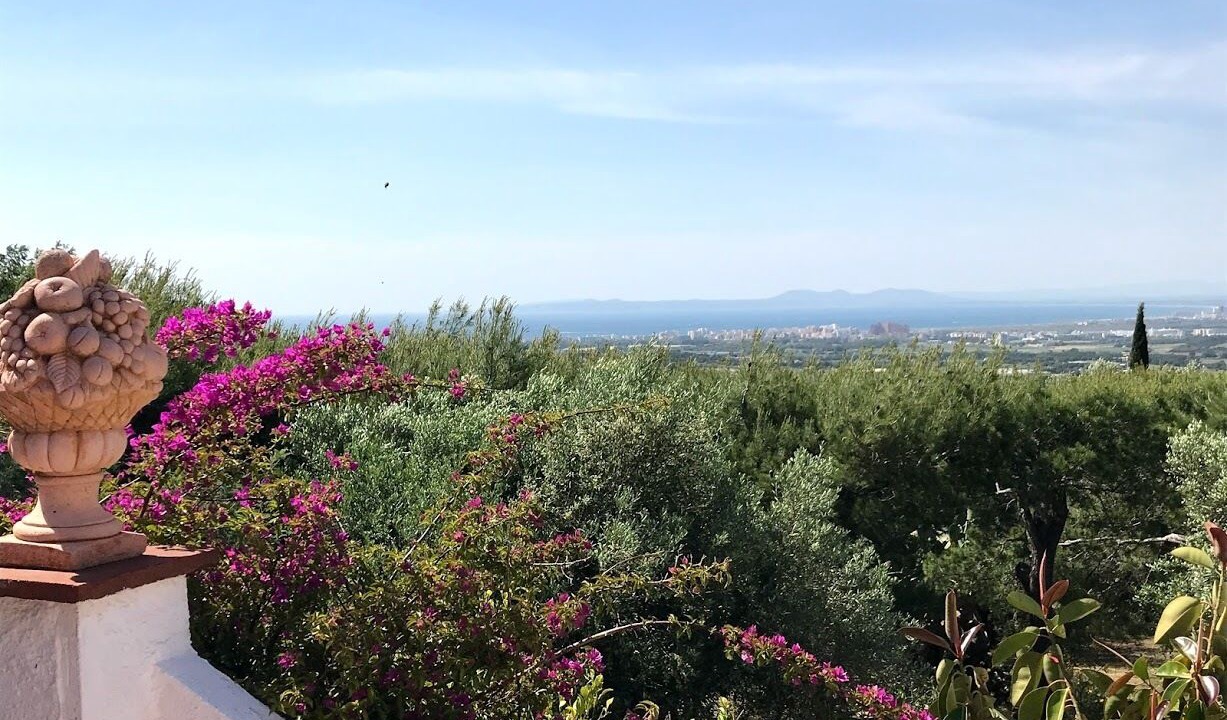Photo of Outdoor in Palau-Saverdera