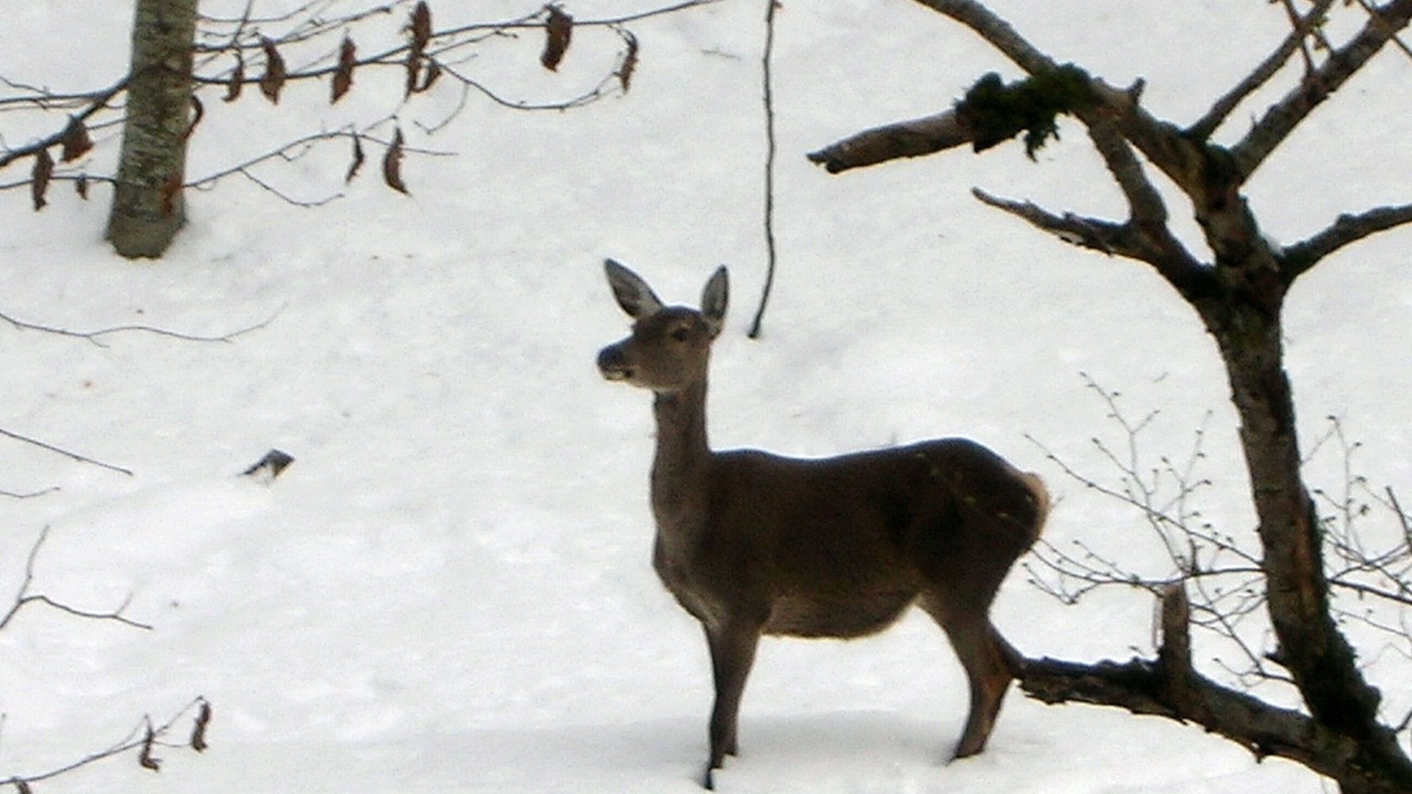 Photo of Outdoor in Anguiano
