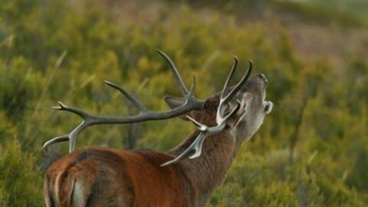 Photo of Outdoor in Molinos de Duero
