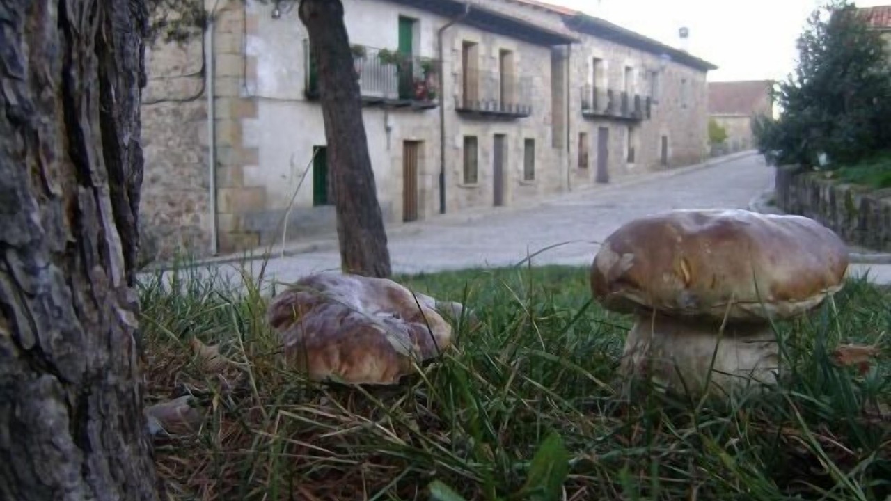 Photo of Outdoor in Molinos de Duero