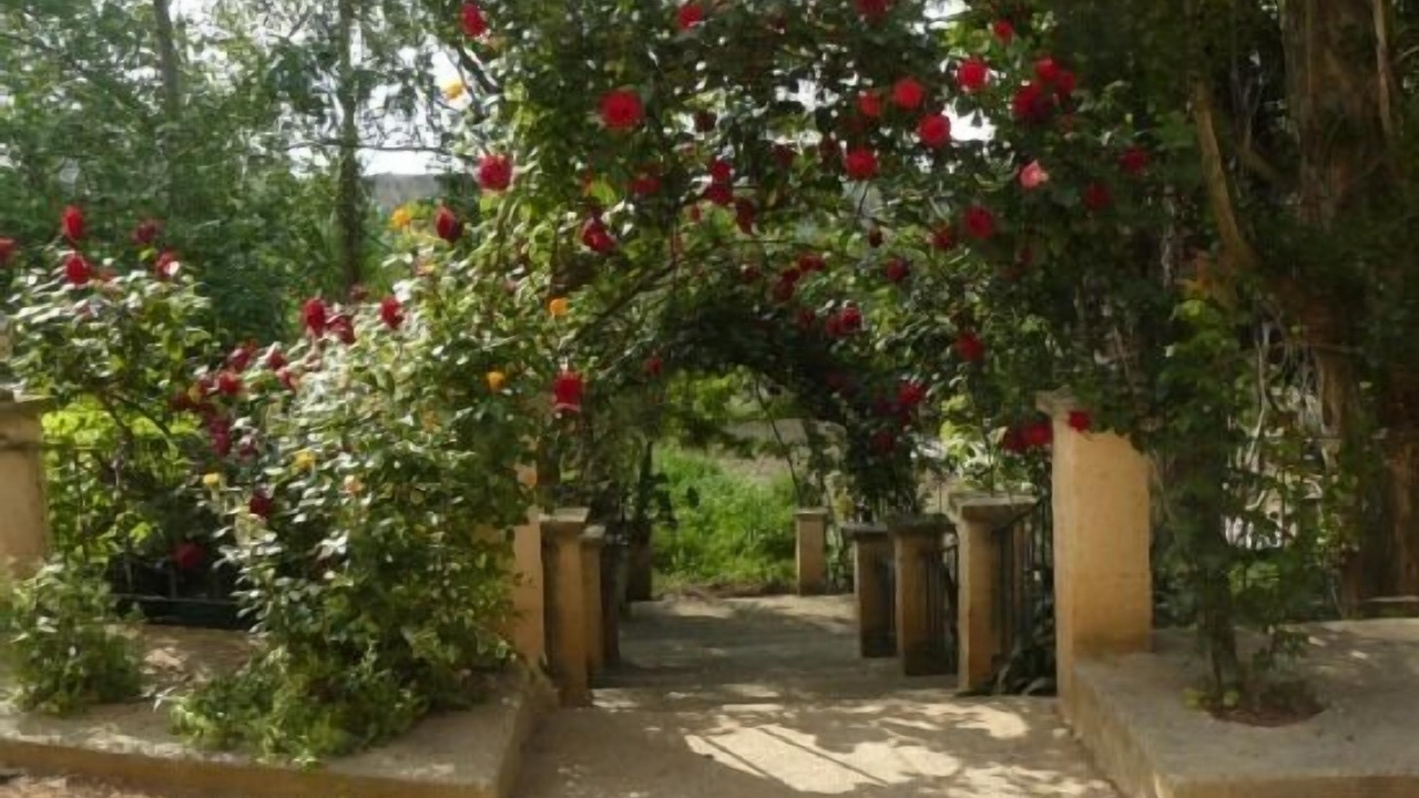 Photo of Outdoor in Ainzon