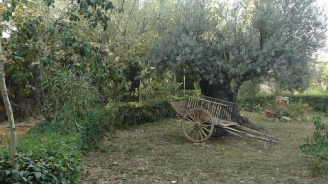 Photo of Outdoor in Ainzon