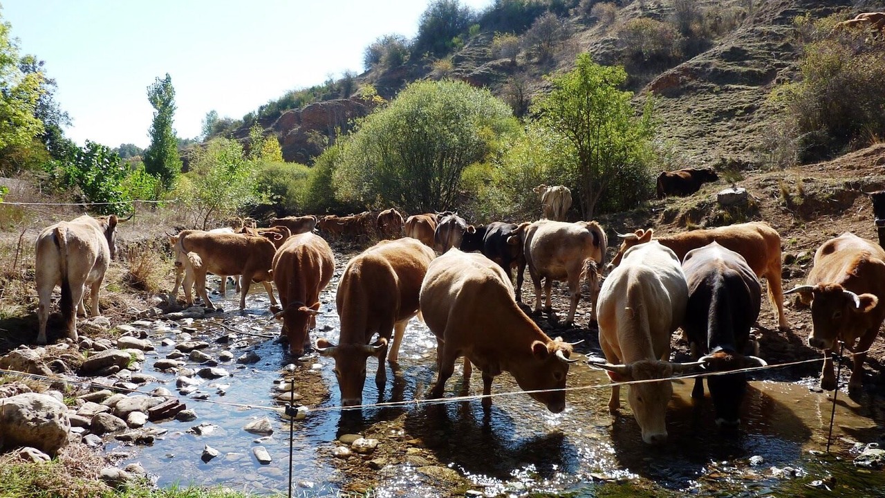 Photo of Others in Respenda de la Pena