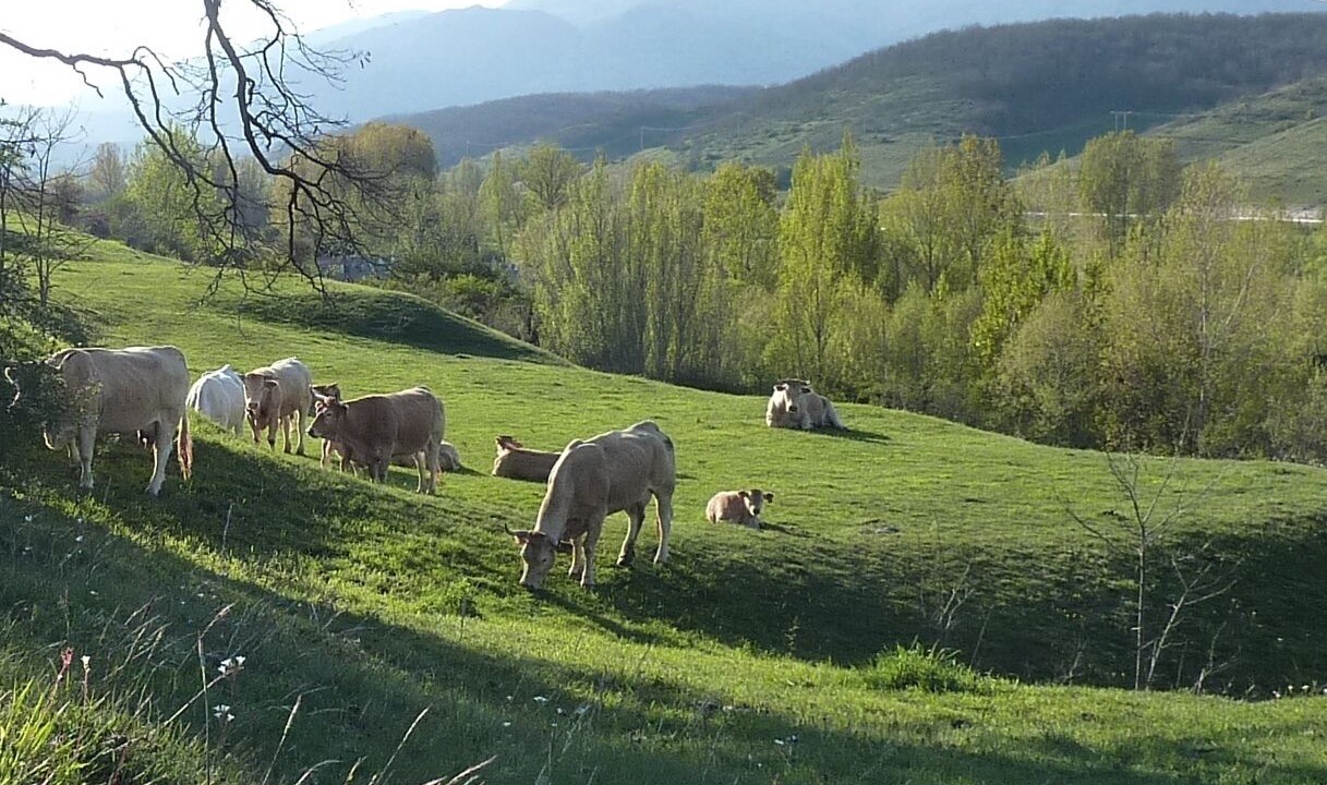 Photo of Outdoor in Respenda de la Pena