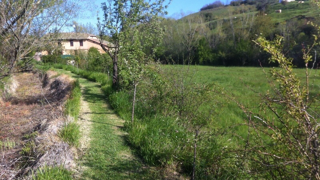 Photo of Outdoor in Respenda de la Pena