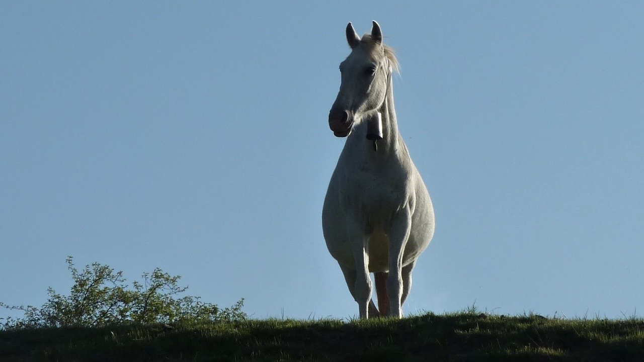 Photo of Outdoor in Respenda de la Pena