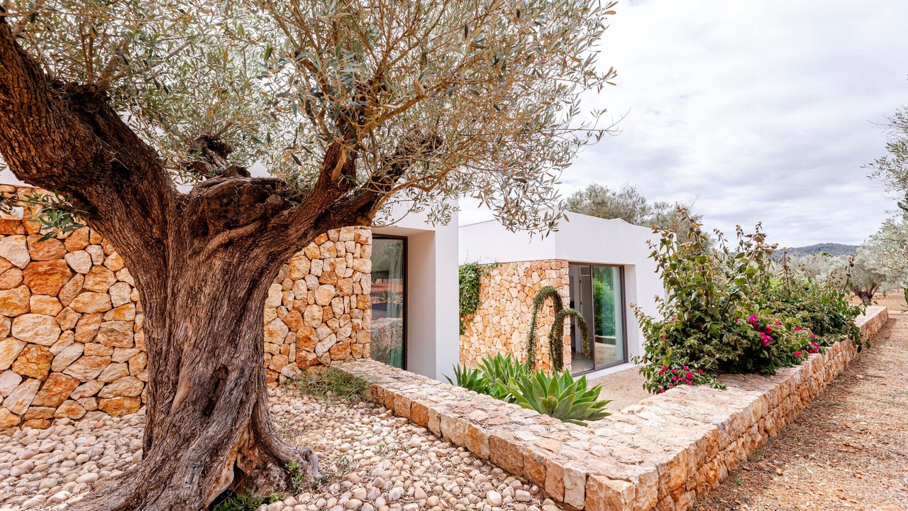 Photo of Outdoor in Santa Eulalia del Rio