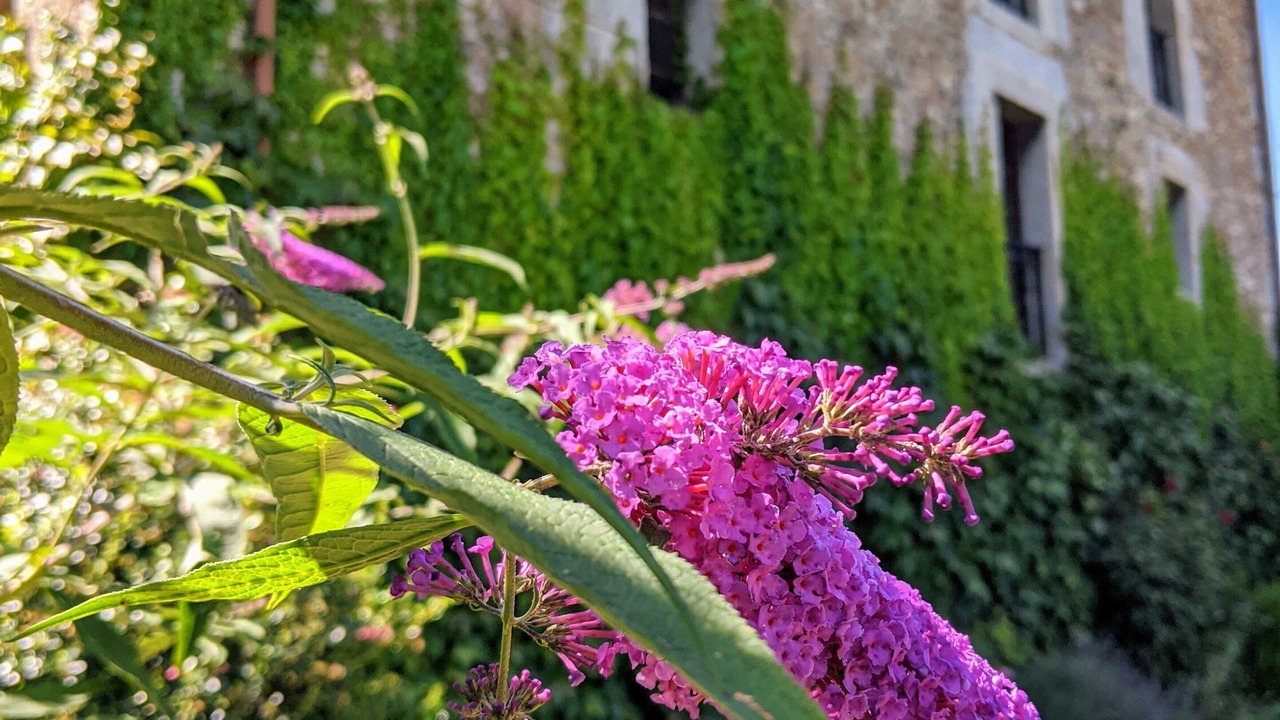 Photo of Outdoor in Basieda