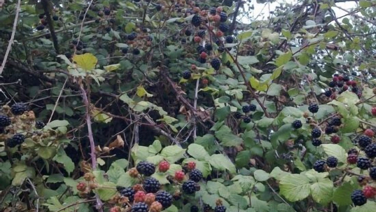 Photo of Outdoor in Molinos de Duero