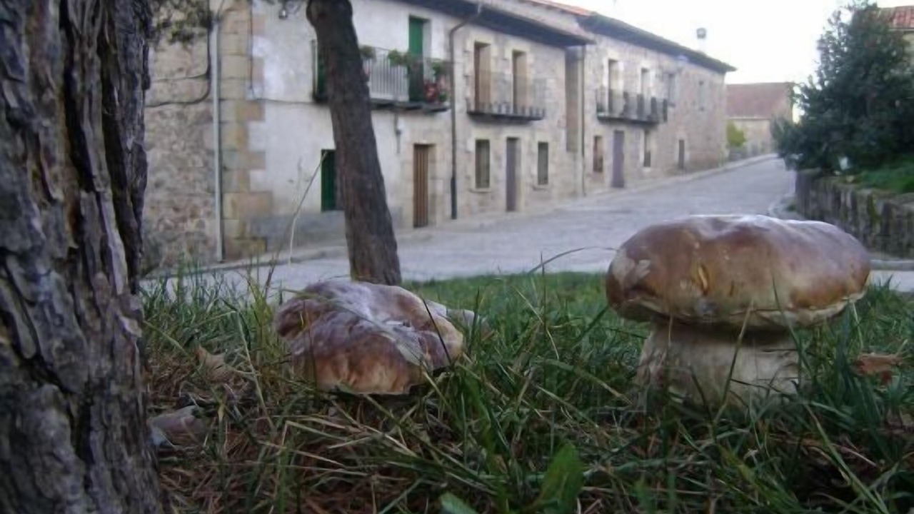 Photo of Outdoor in Molinos de Duero