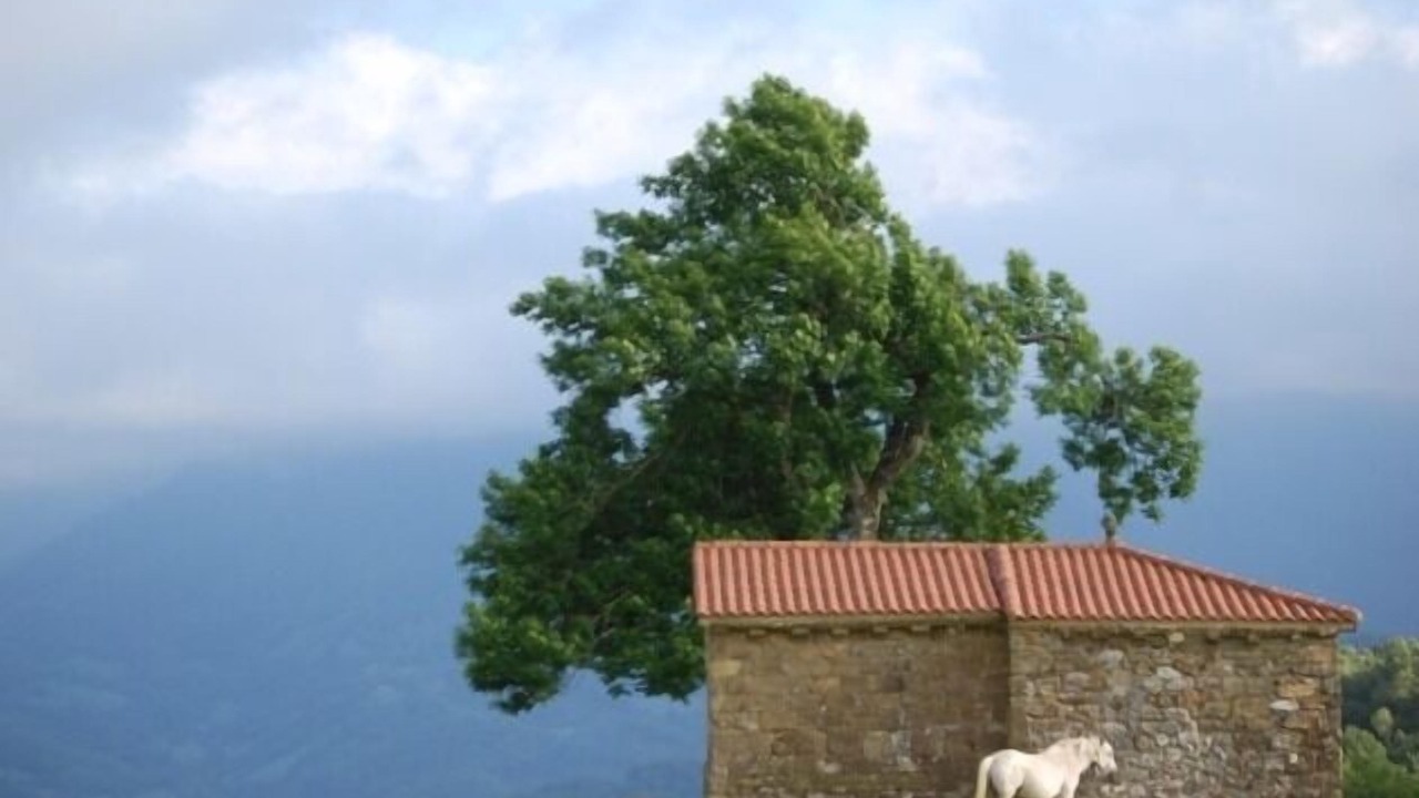 Photo of Others in Villandas