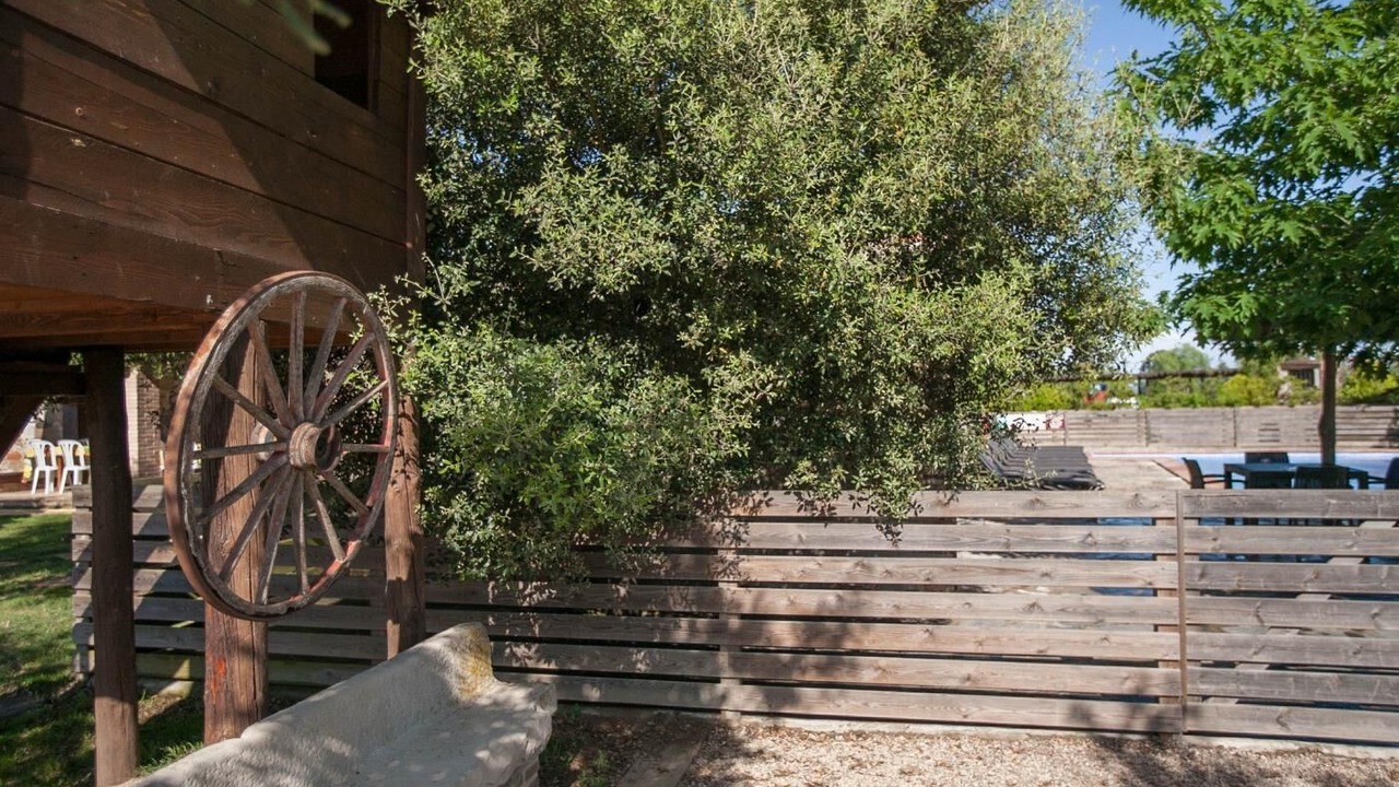 Photo of Outdoor in Riudarenes
