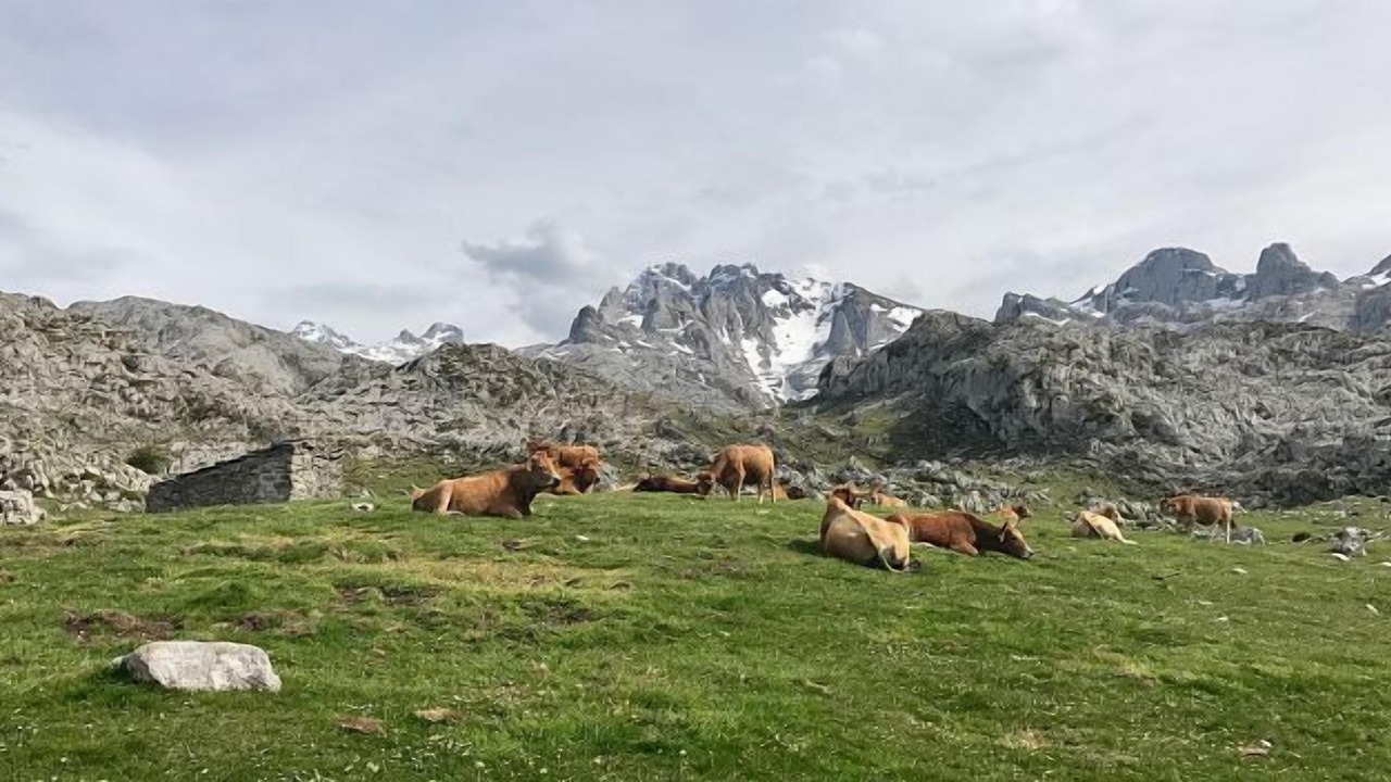 Photo of Outdoor in Pruneda