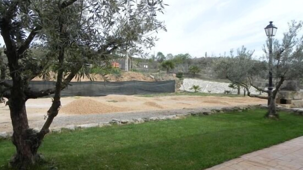Photo of Outdoor in Ateca