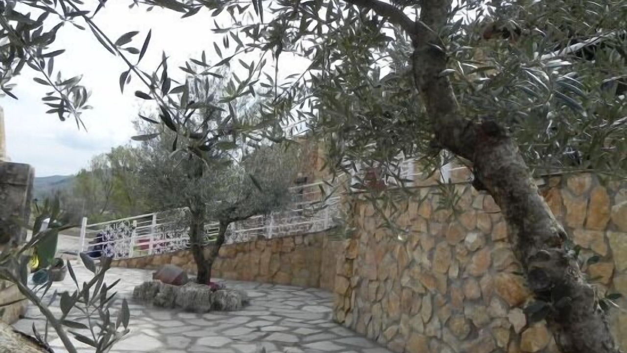 Photo of Outdoor in Ateca