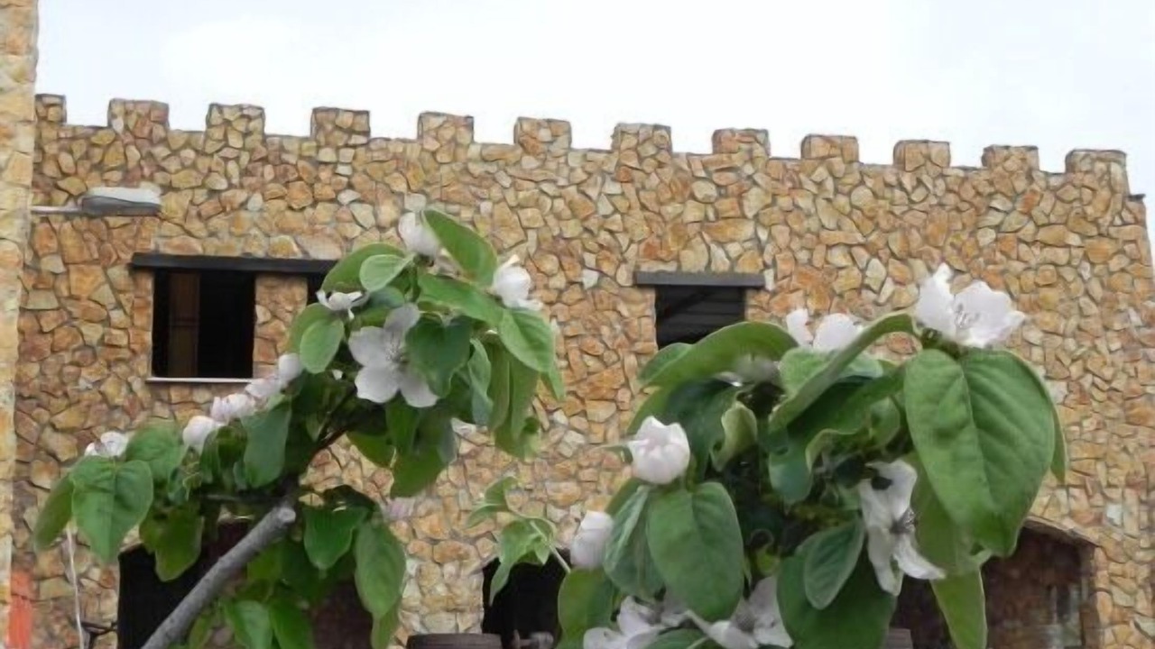 Photo of Outdoor in Ateca