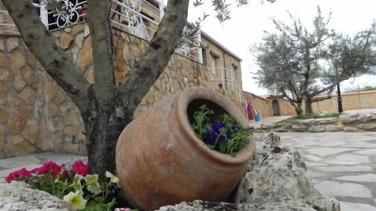 Photo of Outdoor in Ateca