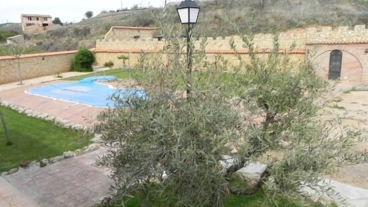 Photo of Outdoor in Ateca