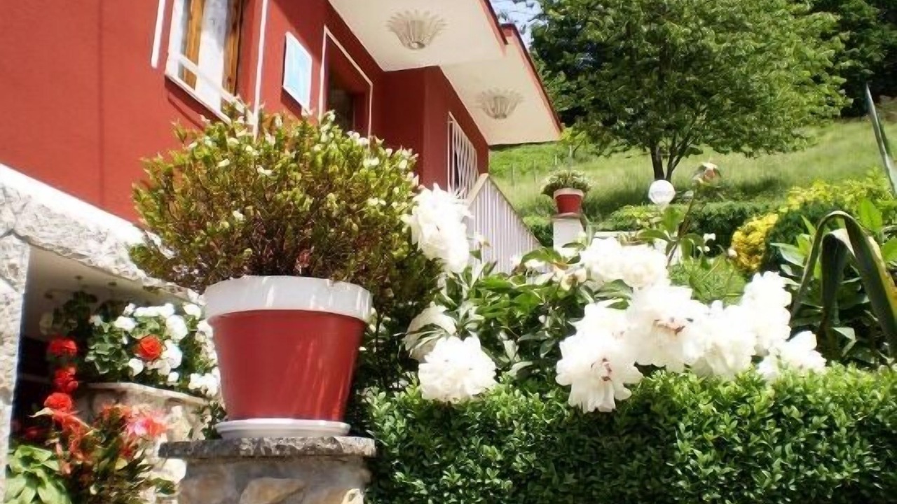 Photo of Outdoor in Vallobal