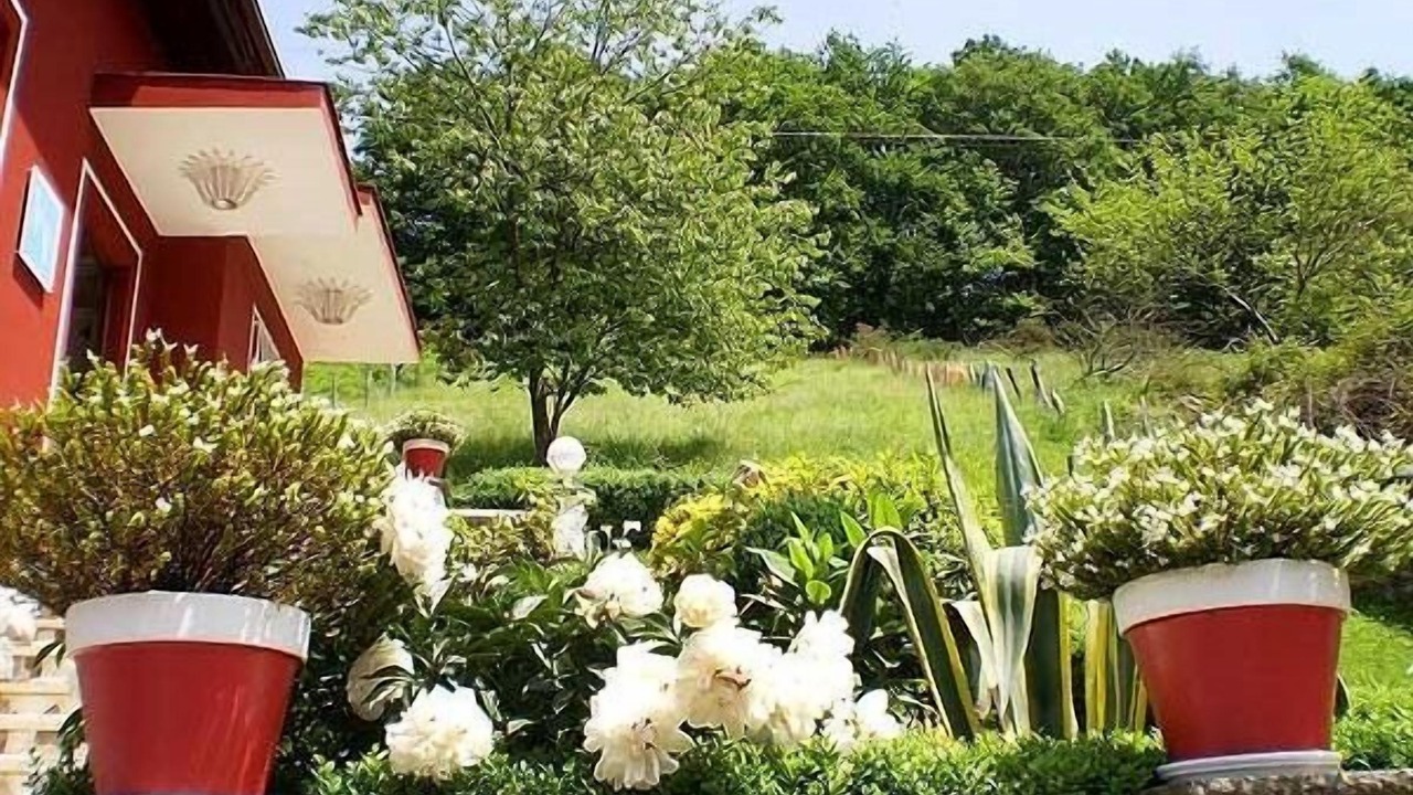 Photo of Outdoor in Vallobal