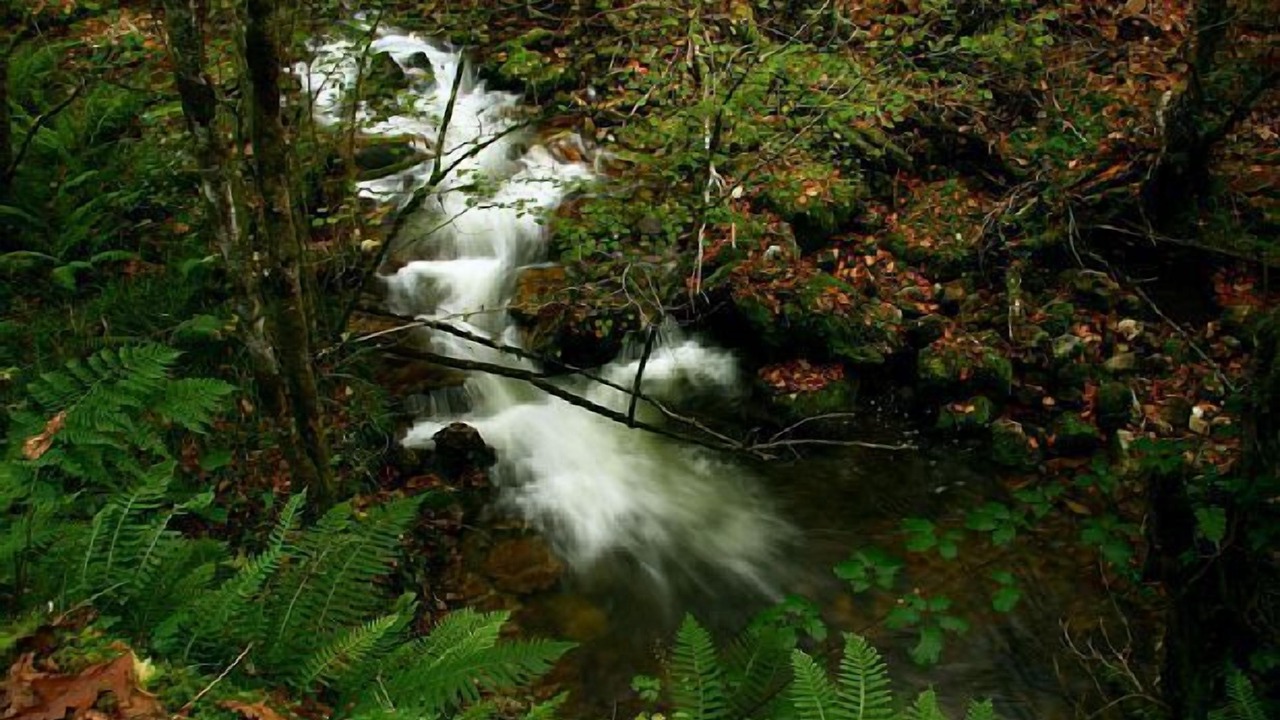 Photo of Outdoor in Vallobal