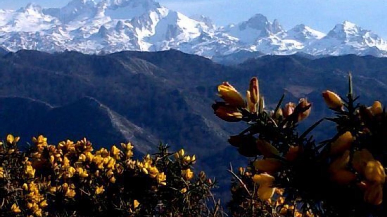 Photo of Outdoor in Vallobal