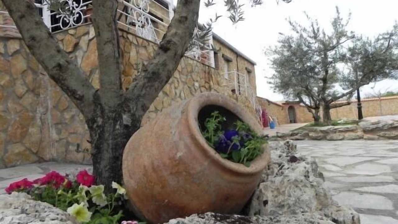 Photo of Outdoor in Ateca