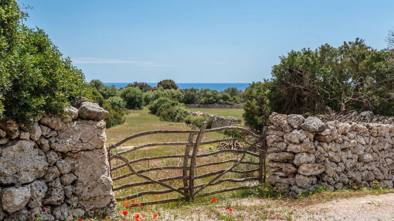 Photo of Outdoor in Mahon