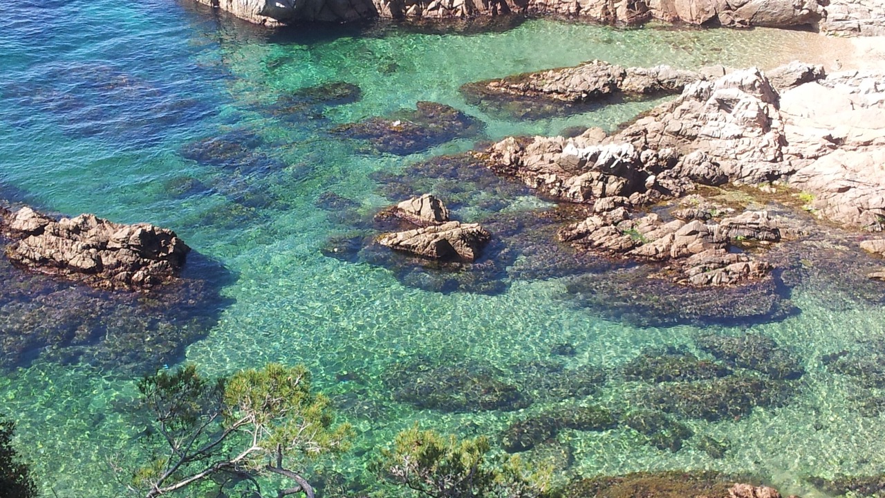 Photo of Outdoor in Tamariu