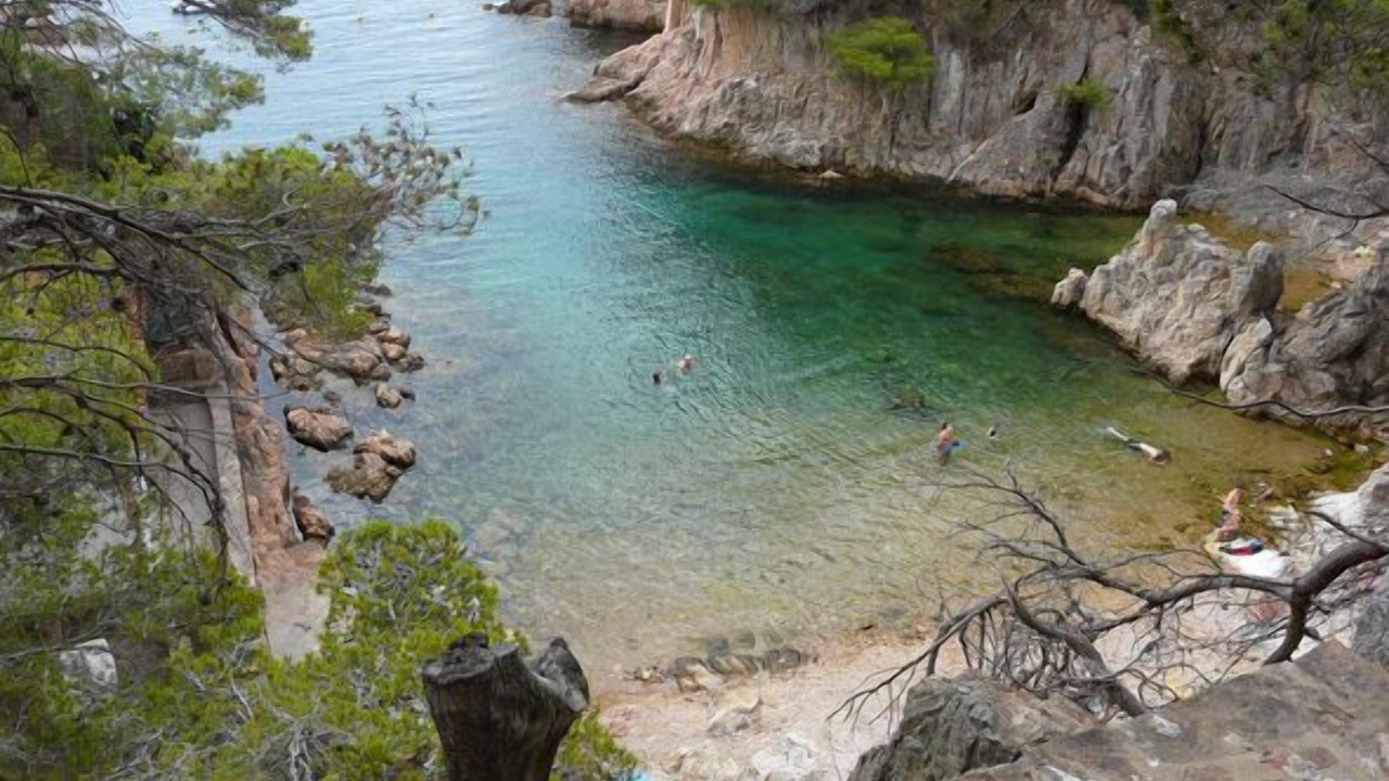 Photo of Others in Tamariu