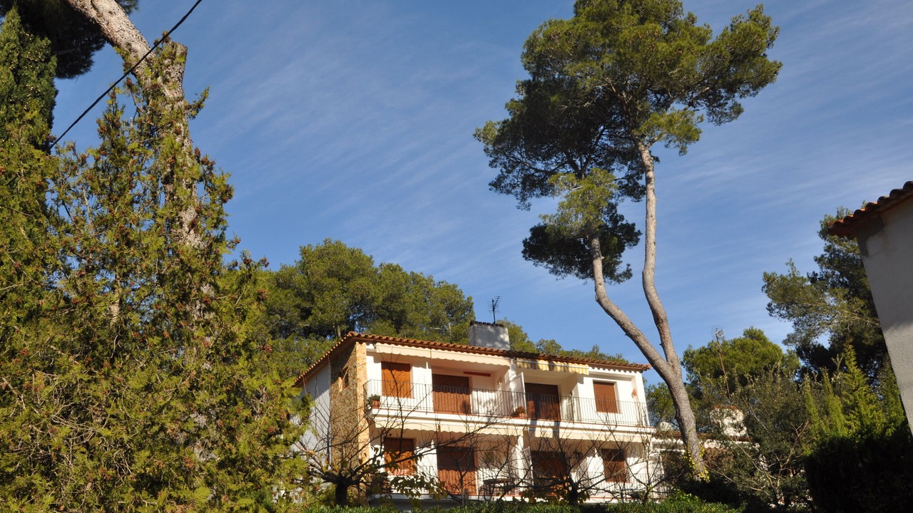 Photo of Outdoor in Tamariu
