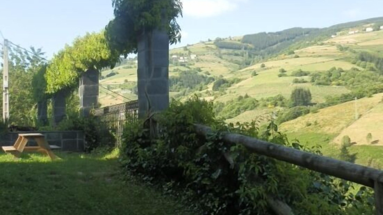 Photo of Outdoor in Limes