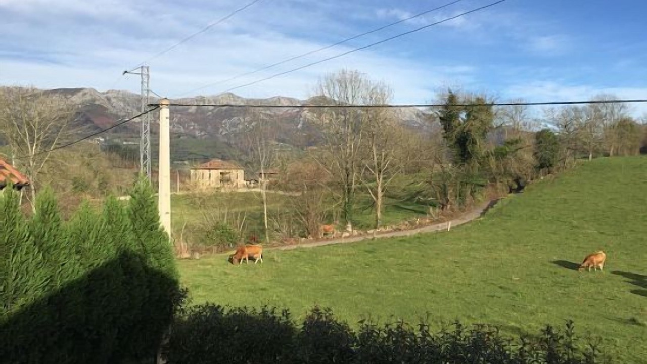 Photo of Outdoor in Soto de las Duenas