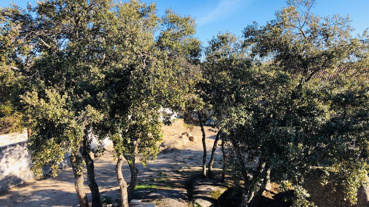 Photo of Outdoor in Navas de San Antonio