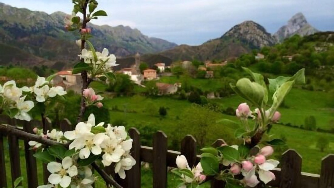 Photo of Outdoor in Penamellera Alta