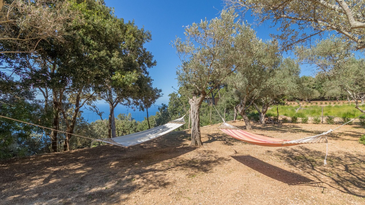 Photo of Outdoor in Valldemossa